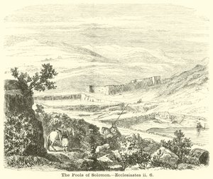 Süleyman