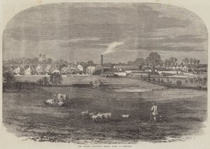 Osborne