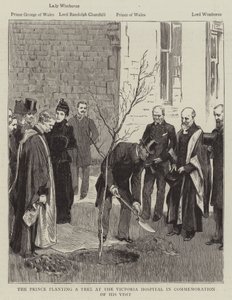 Prens ziyaretinin anısına Victoria Hastanesine Ağaç dikiyor (gravür) by English School