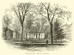 Dörtgen, Harvard Üniversitesi by English School