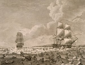 Buzun içinden geçen Yarış Atı ve Karkas, 10 Ağustos 1773, Majestelerinin Komutanlığı Tarafından Üstlenilen Kuzey Kutbuna Doğru Bir Yolculuk 1773, Londra 1774 by English School