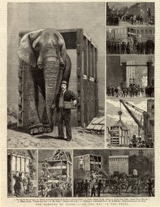 Jumbo