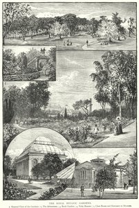 Kraliyet Botanik Bahçeleri (gravür) by English School