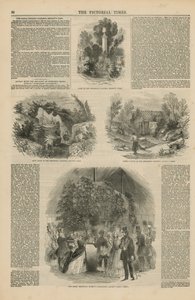 Kraliyet Botanik Bahçeleri by English School