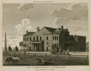St Georges Fields, Surrey