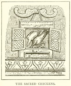 Kutsal Tavuklar by English School