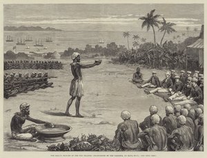 Fiji Adaları