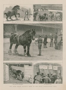 Kraliyet Tarım Salonunda Shire Horse Society gösterisi by English School