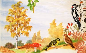 Gümüş Huş Ağacı ve çevresinde bulabileceğiniz hayvanlar ve bitkiler