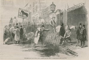 Smithfield Kulübü Sığır Gösterisi