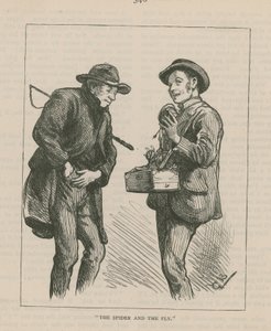 Örümcek ve Sinek by English School