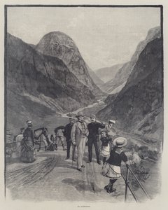 Norveç