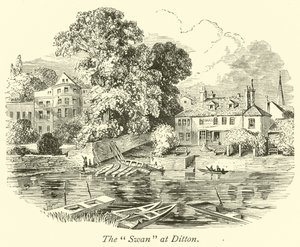 Ditton