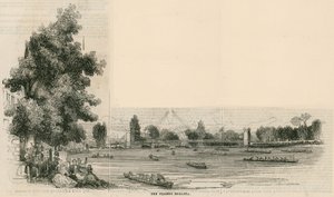 Thames Yarışı by English School