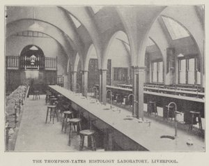Thompson-Yates Histoloji Laboratuvarı, Liverpool (gravür) by English School