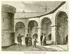 Kule Menagerie yaklaşık 1820 by English School
