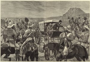Transvaal Savaşı