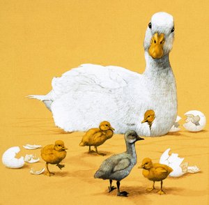 Çirkin ördek yavrusu by English School