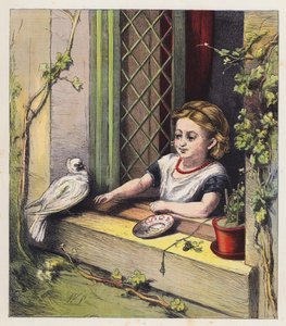 Beyaz Güvercin (renkli taş baskı) by English School