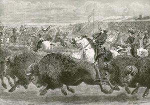 Büyük Amerikan Sergisinde Vahşi Batı - bizon ve wapiti geyiği avlamak by English School