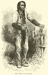 Kurt, bir Ute Kızılderilisi by English School