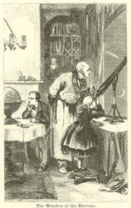 Cennetin Harikaları by English School