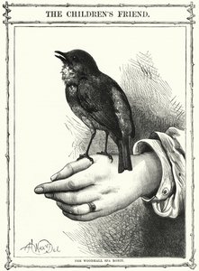 Woodhall Spa Robin (gravür) by English School