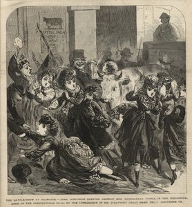 Islington
