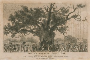 1800 yaşından büyük olduğu varsayılan ünlü Great Oak by English School