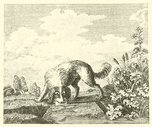 Köpek ve gölge (gravür) by English School