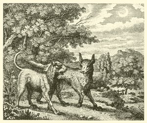 Köpek ve kurt (gravür) by English School