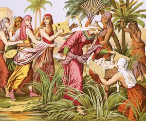 Musa