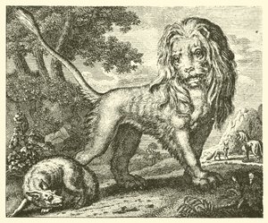 Tilki ve aslan (gravür) by English School