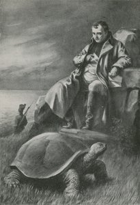 Napolyon