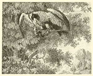 Şahin ve bülbül (gravür) by English School