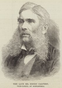 Geç Bay Henry Calvert, İskenderiye