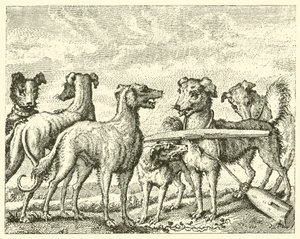 Yaramaz köpek (gravür) by English School