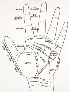 elin dağı aras by English School