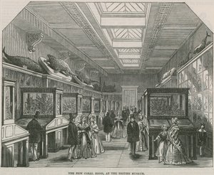 British Museum