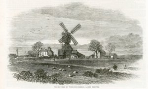 Wimbledon Common