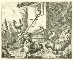 Keklik ve horozlar (gravür) by English School