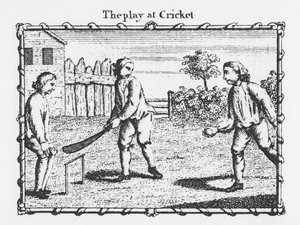 Cricket