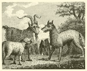Kurt, kuzu ve keçi (gravür) by English School