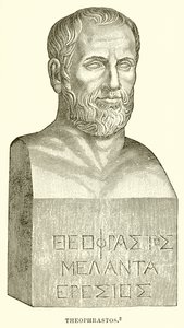 Theophrastos by English School