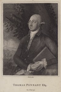 Thomas Pennant, Galli doğa bilimci ve topograf (gravür) by English School