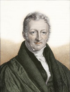 Thomas Robert Malthus (renkli gravür) by English School