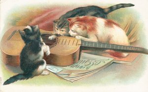 Akustik gitarla oynayan üç kedi by English School