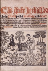 Şekillerle bir bahçe sahnesini gösteren başlık sayfası, 1529 by English School