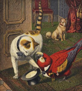 Tittums ve Fido by English School
