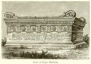 Scipio Barbatus